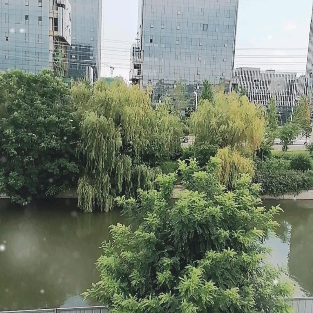 萍水相逢