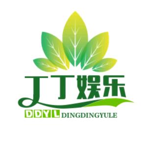 丁丁娱乐