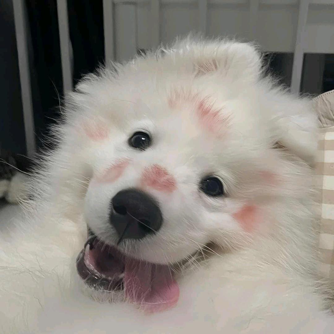 晨昏线