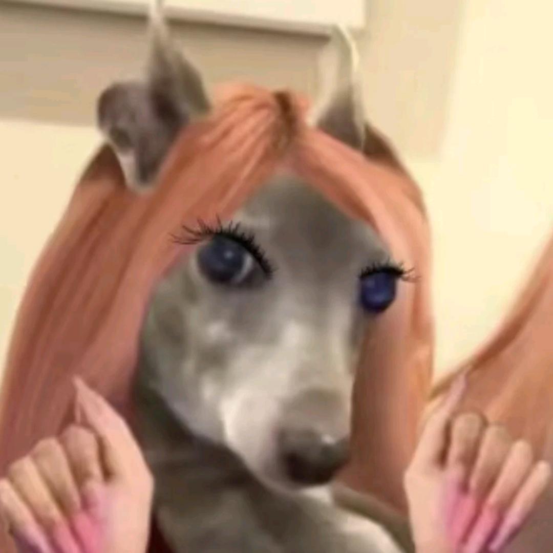 动物园里怎么有人