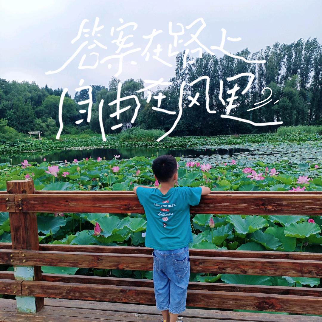 柳