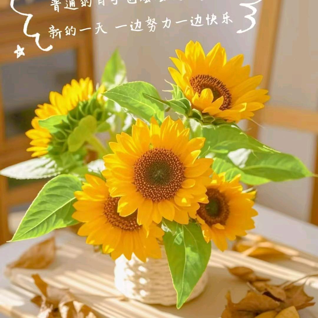 常姐手工
