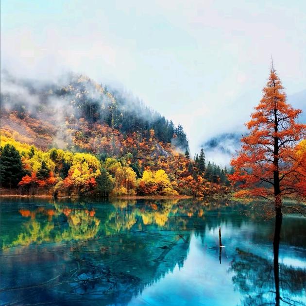 中国行-云南，四川专场