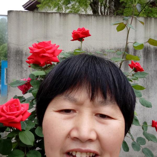 不过