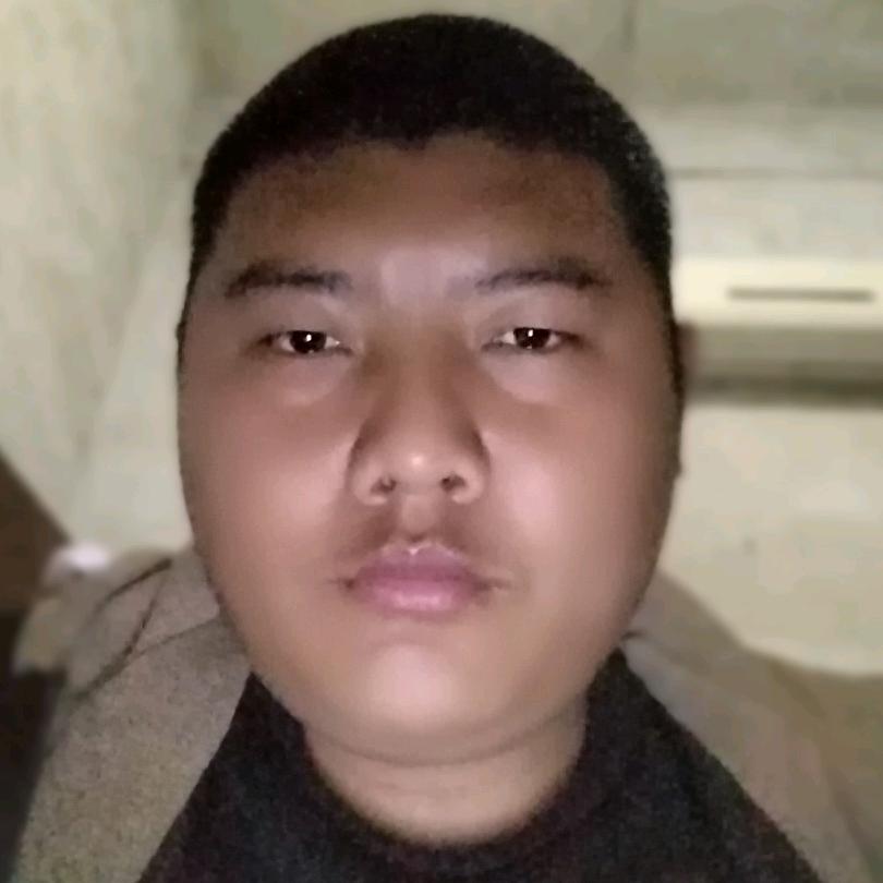 刘少华