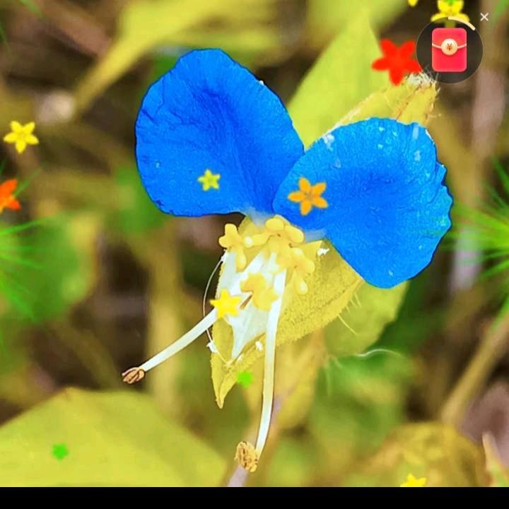 一切໒꒰ྀི 随缘