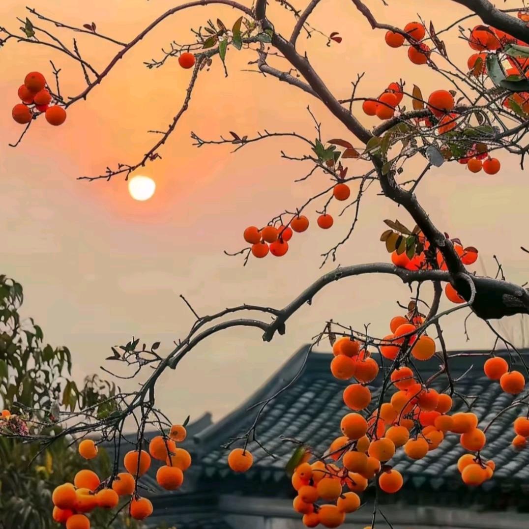 蕙心
