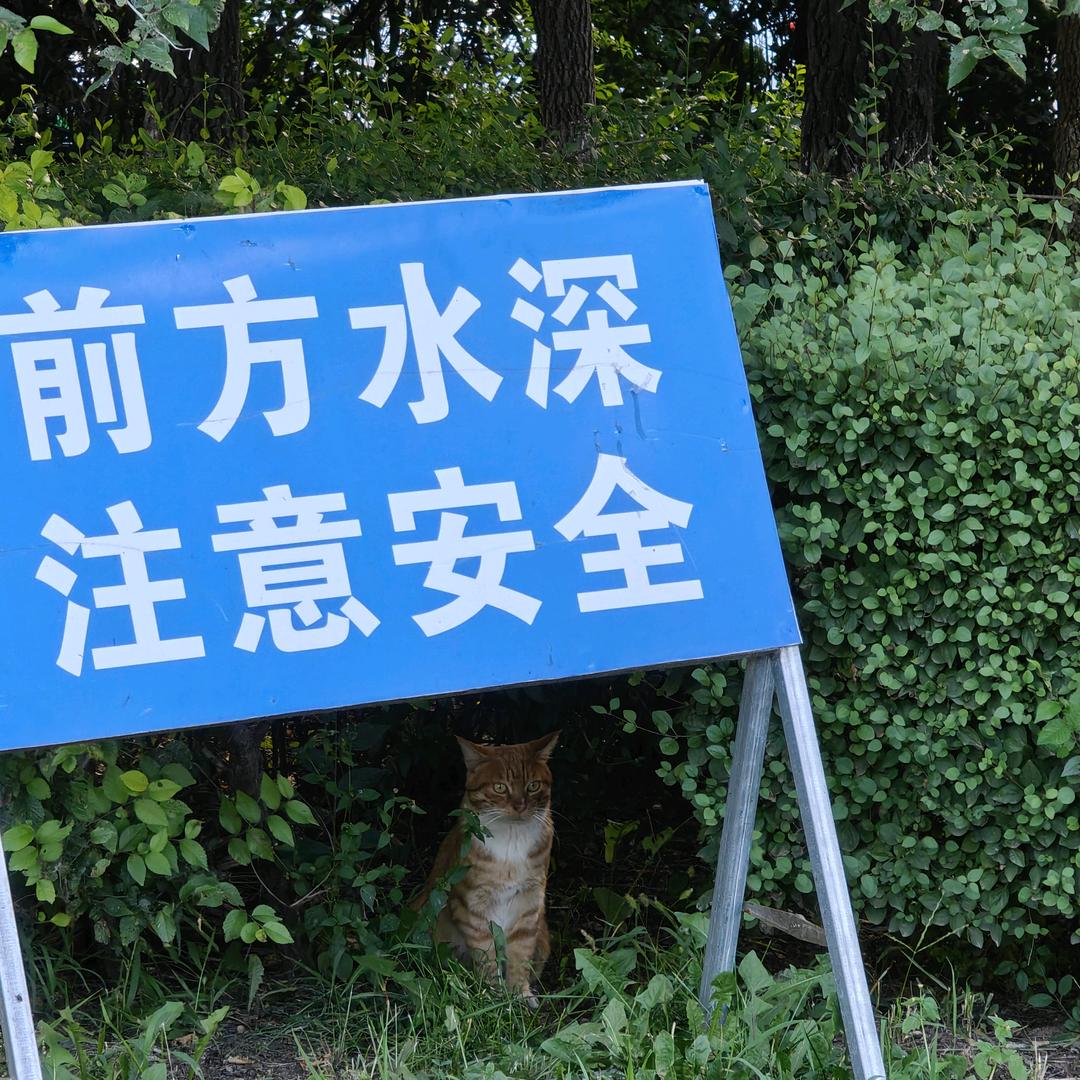 开心的法式中古家