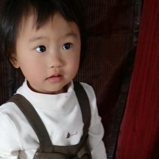 时间都去哪了？