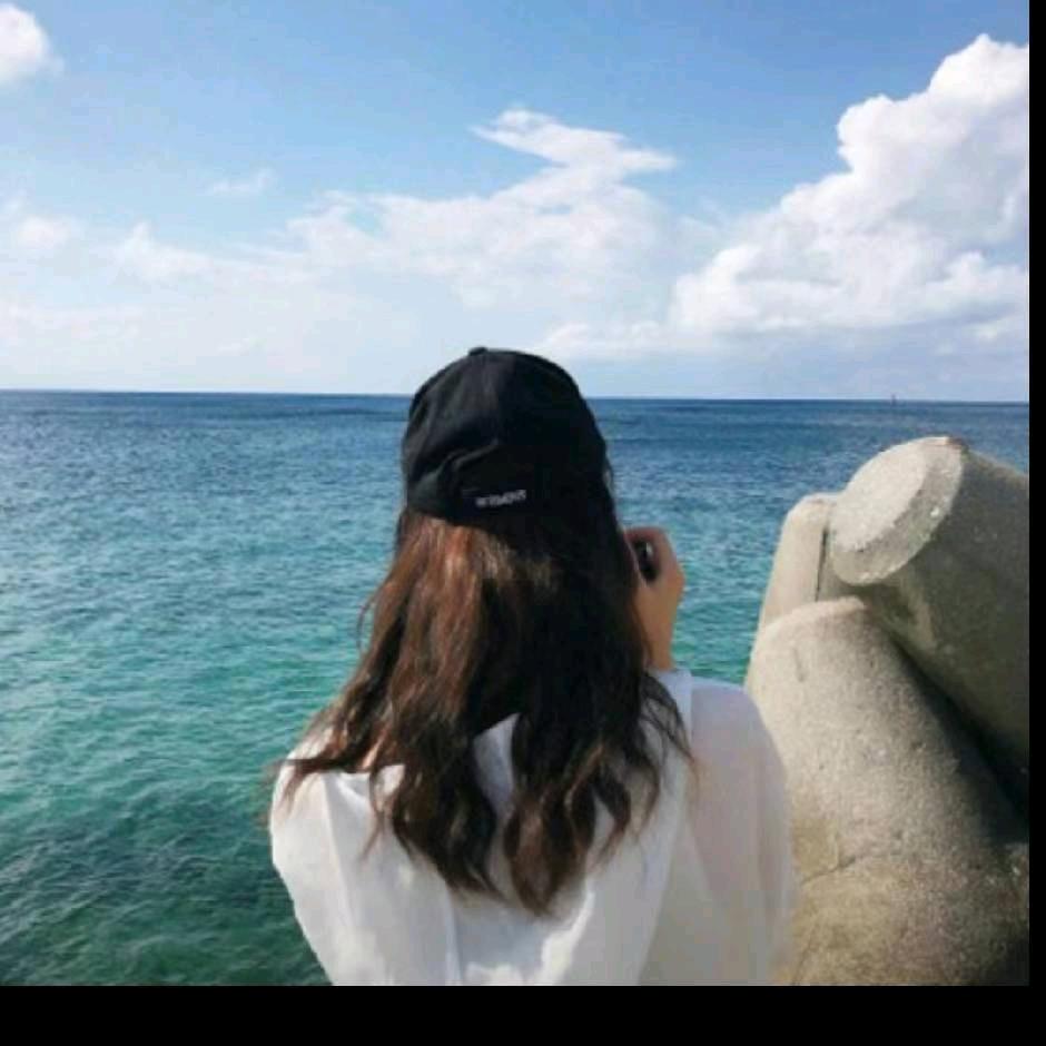 一只小白羊🐏