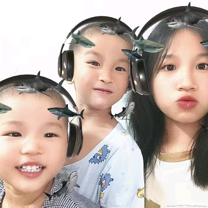 索家三宝