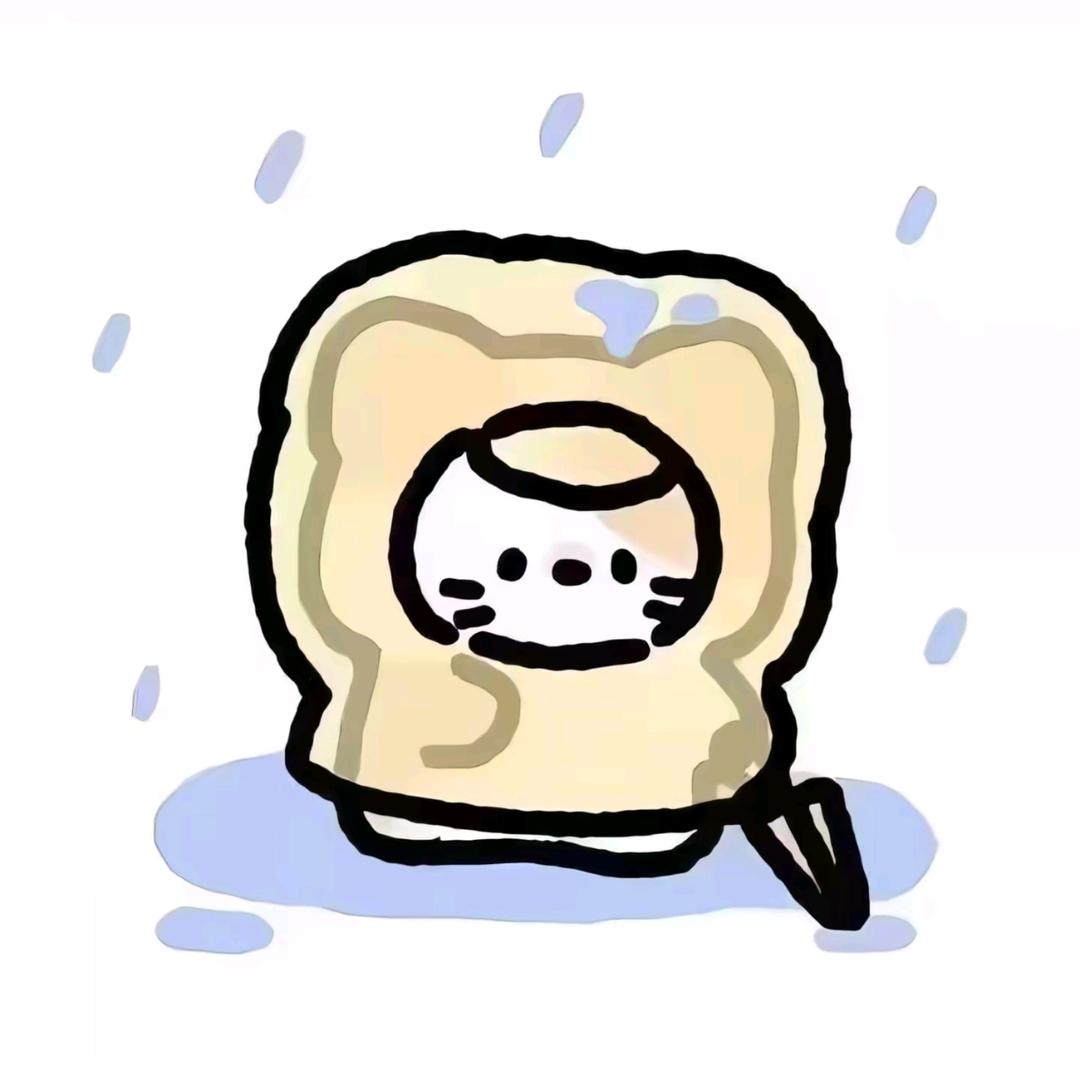 流星雨🌠