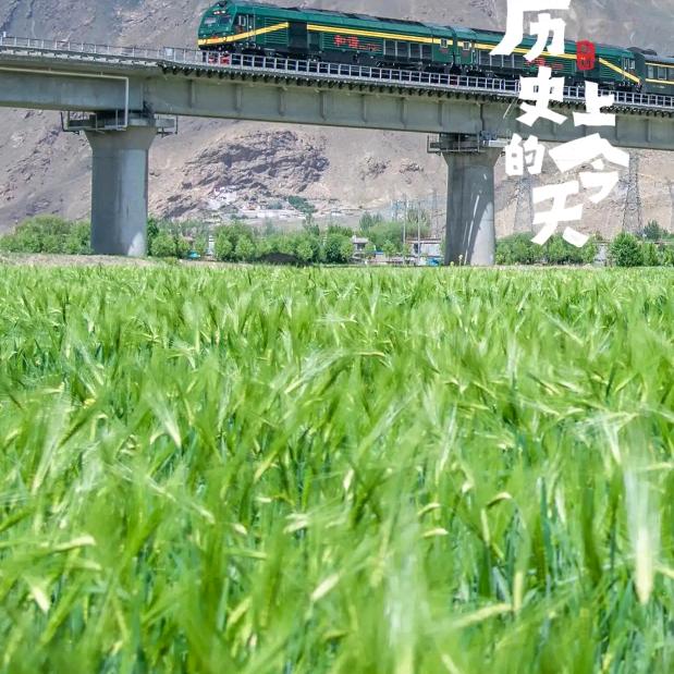 傲世