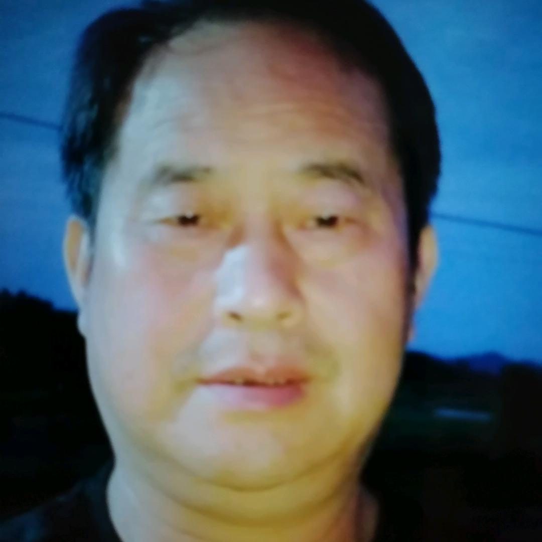四季花开