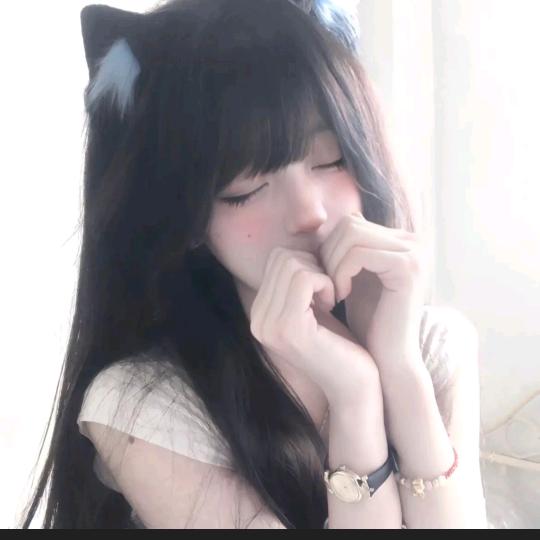 猫.