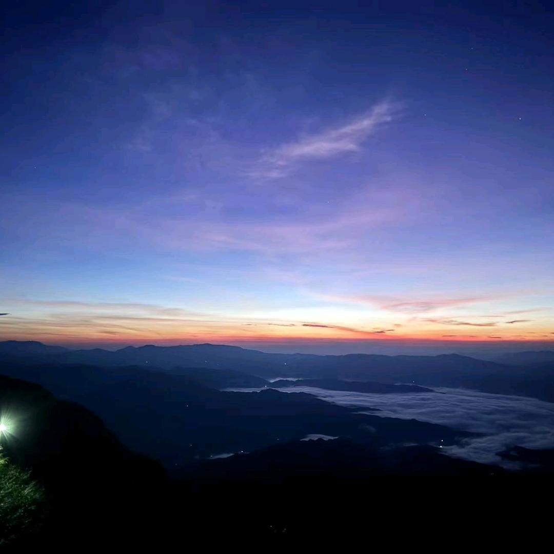 万象生鲜超市(万象新园店)万亿直播号