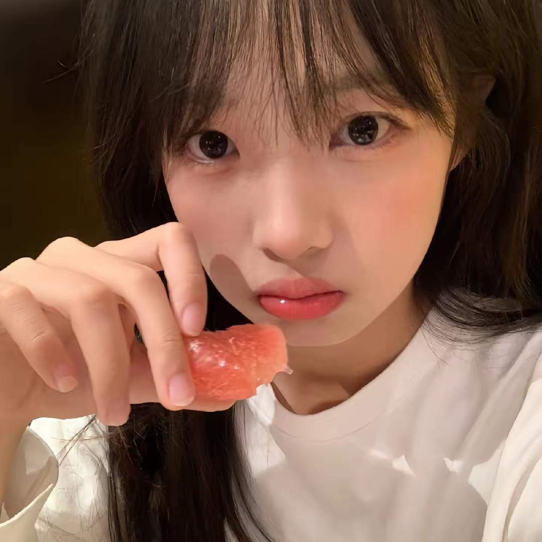 扑棱蛾子真下饭