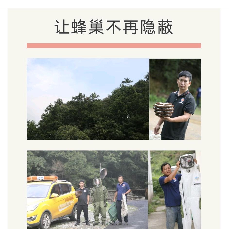 山图胡蜂应急处理中心