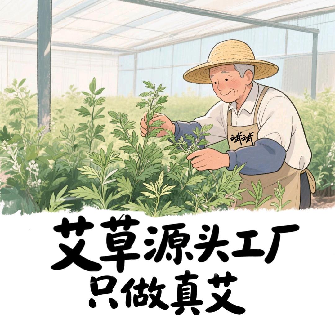 艾草源头工厂只做真艾