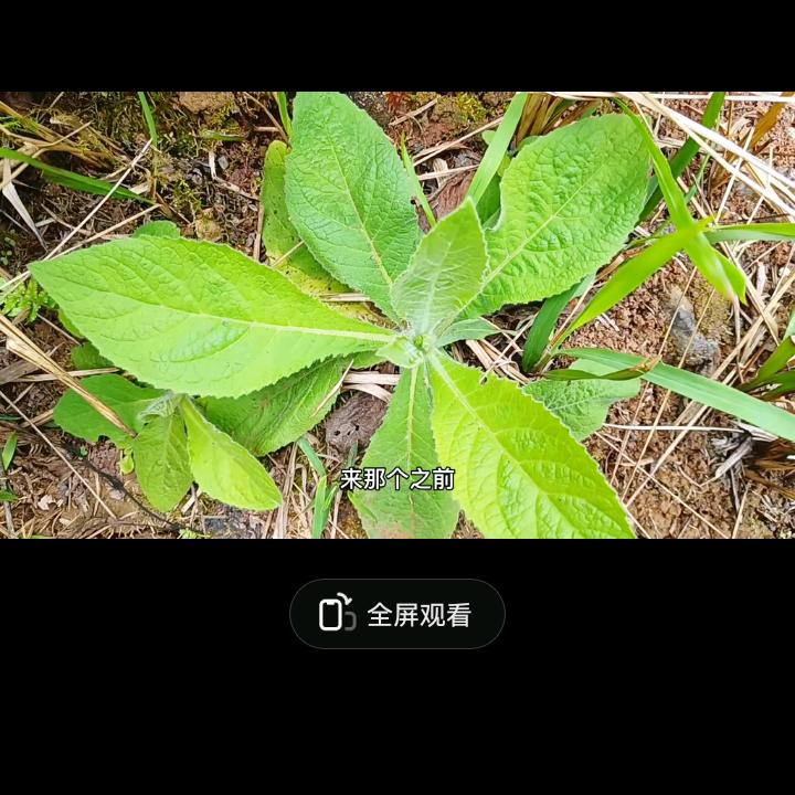 改变命缘分