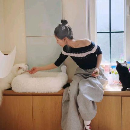 马蒂斯艺术美术老师