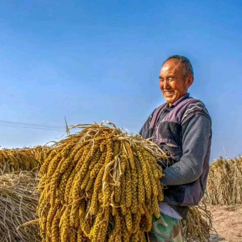 稻草人