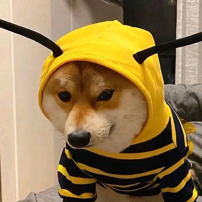 叫我哈哈大王