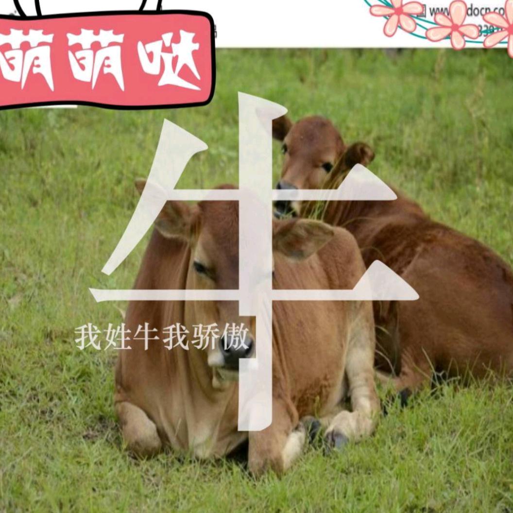 风雨彩虹