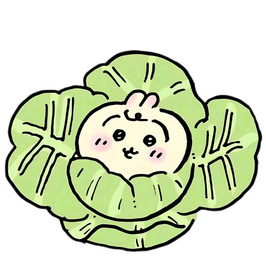 咩咩菜菜籽
