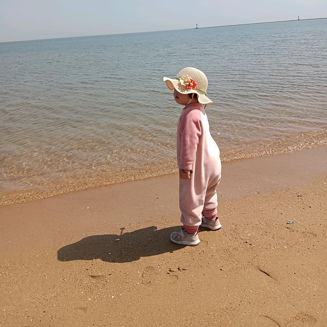 阿涛的红烧肉盖饭