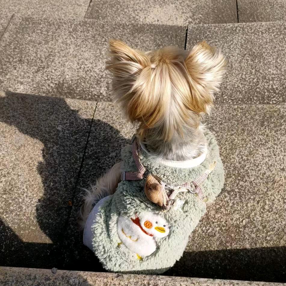 ᥫʚ࿚Happy*࿐ᮁ