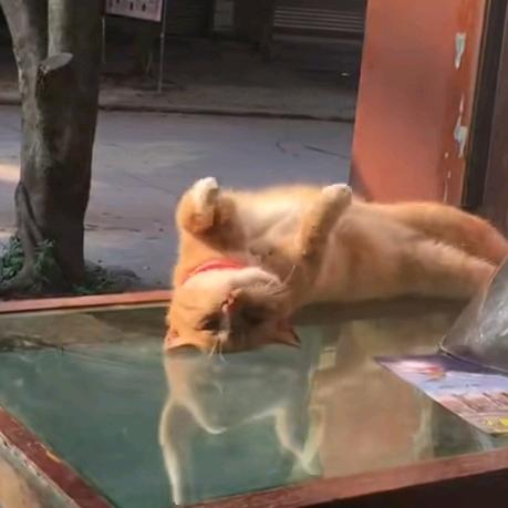 眼皮子底下