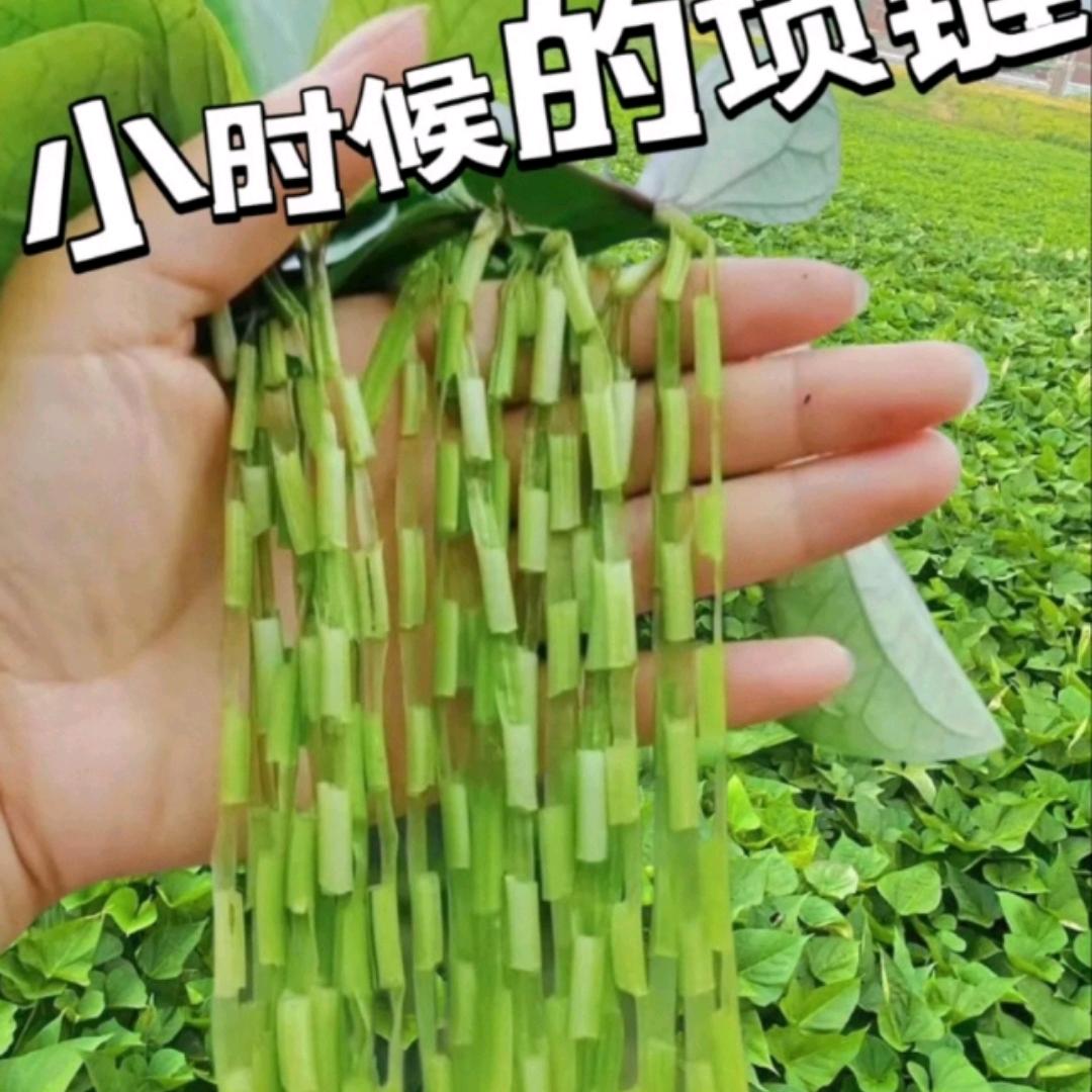 生活好物