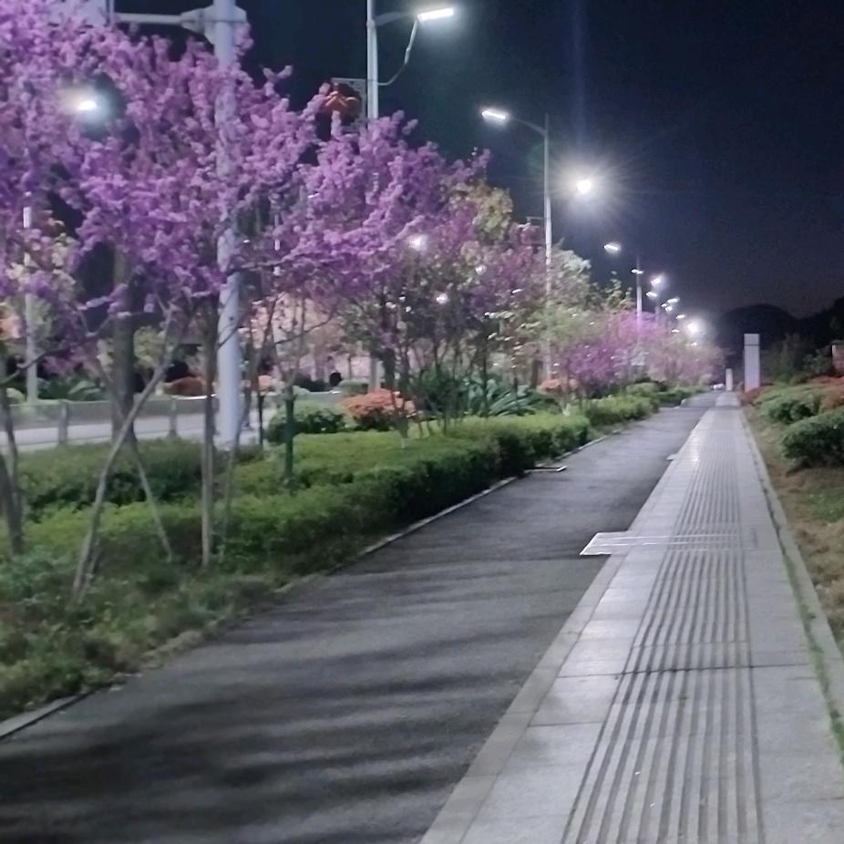 阳光大地