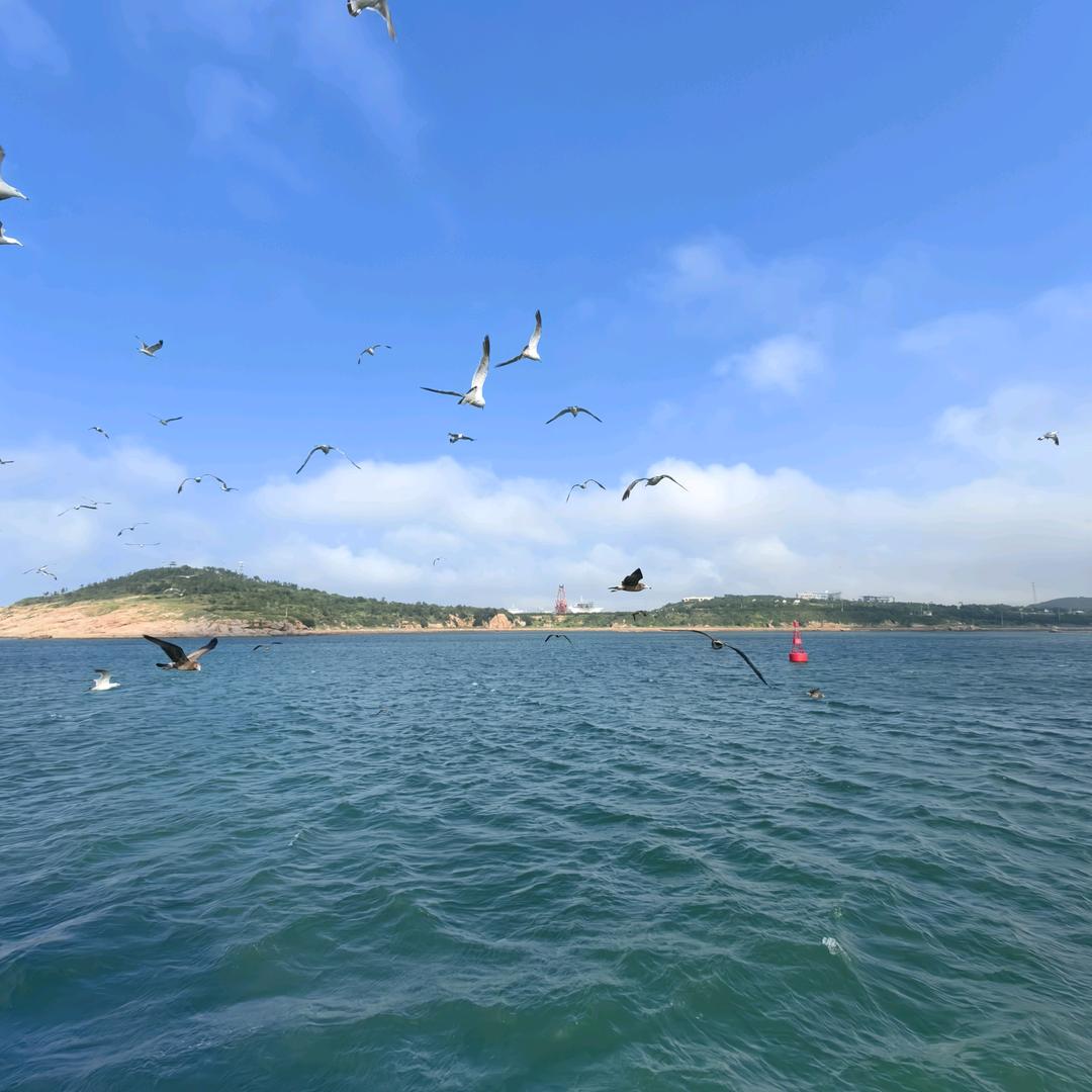 余味（后知后觉）