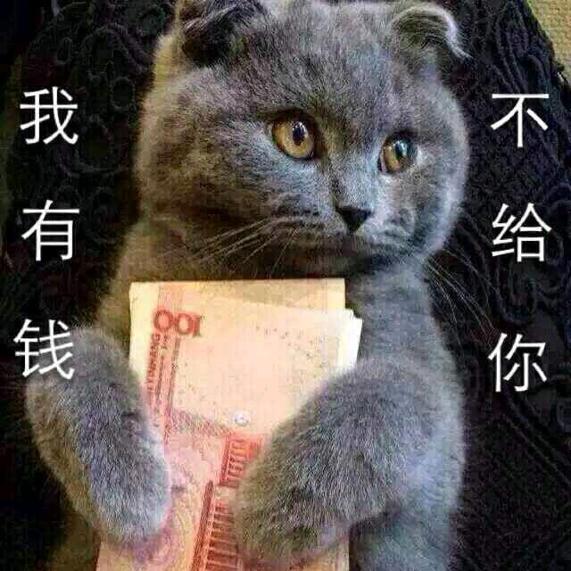 芳🐕姐