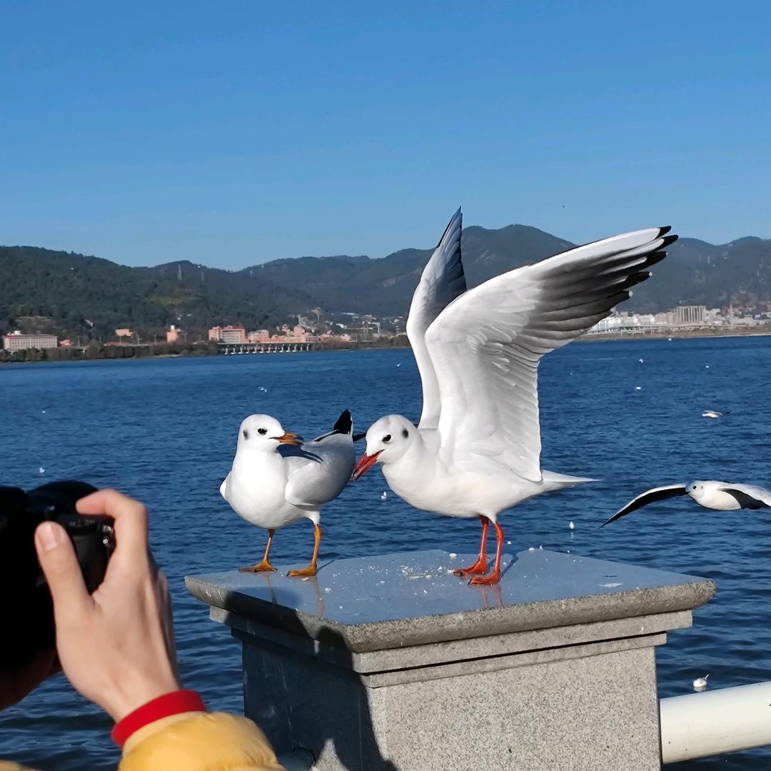 渝在旅途