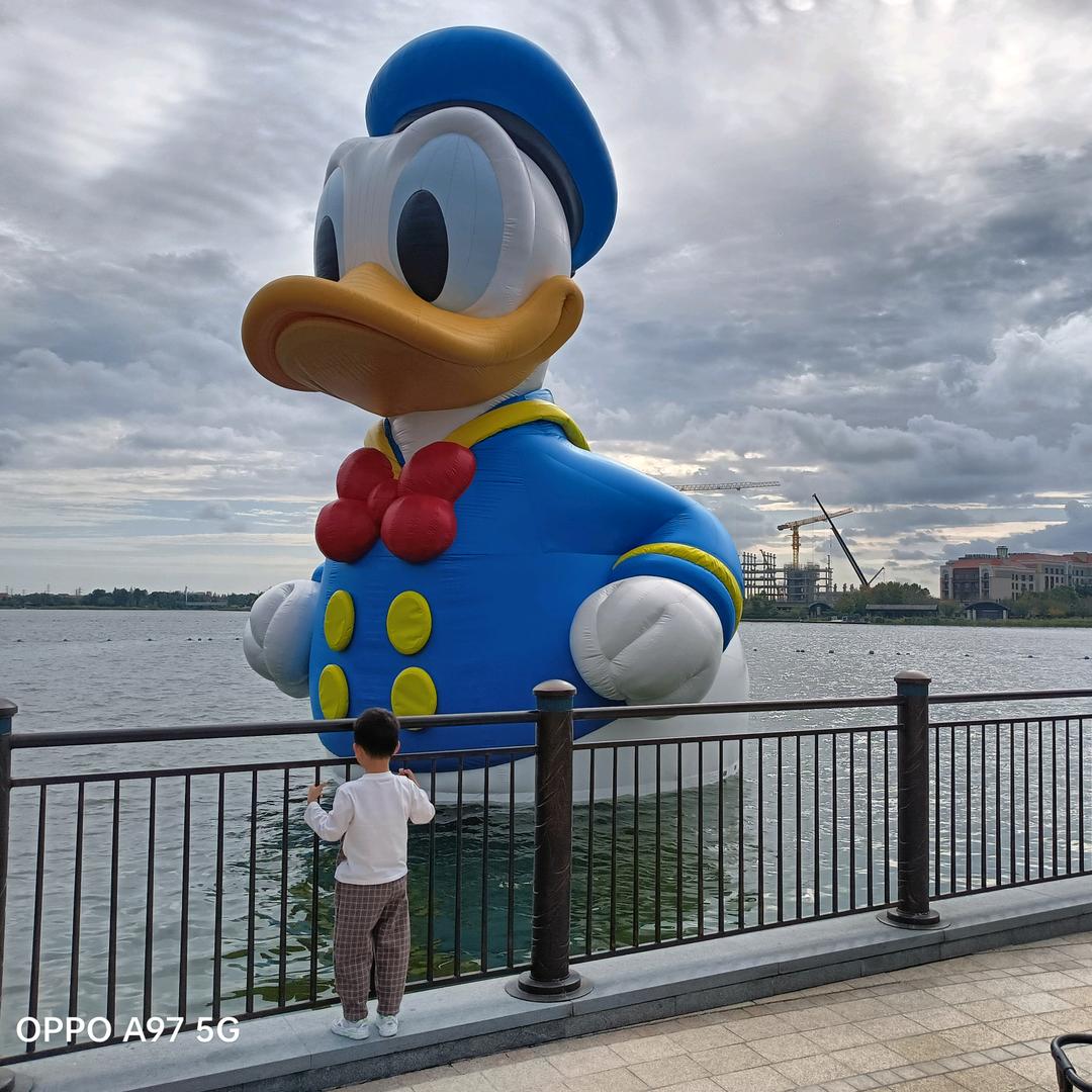 大杨师兄（科研进阶版）