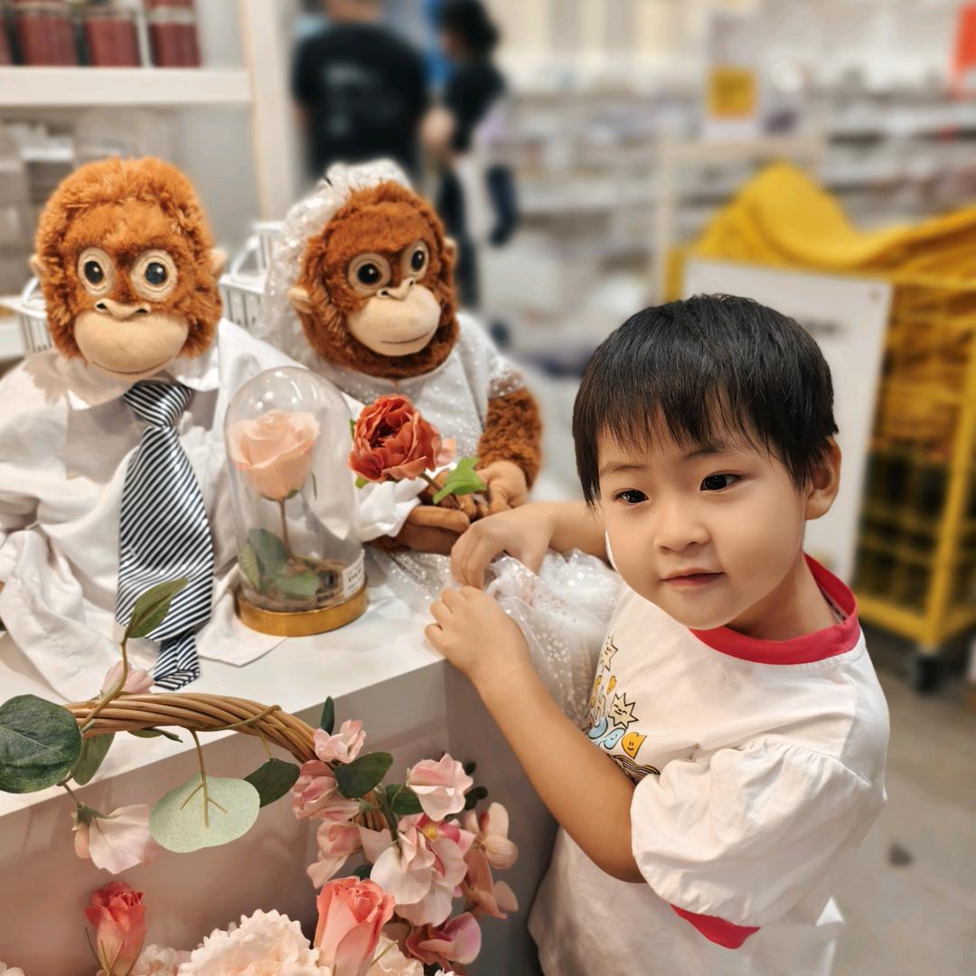 @飞@