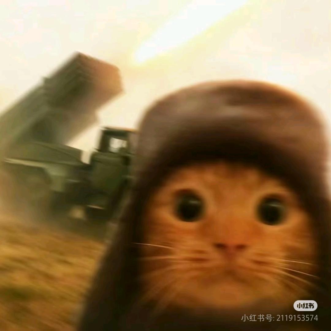 叽叽喳喳