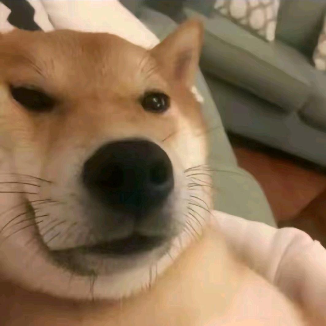 死宅小天天