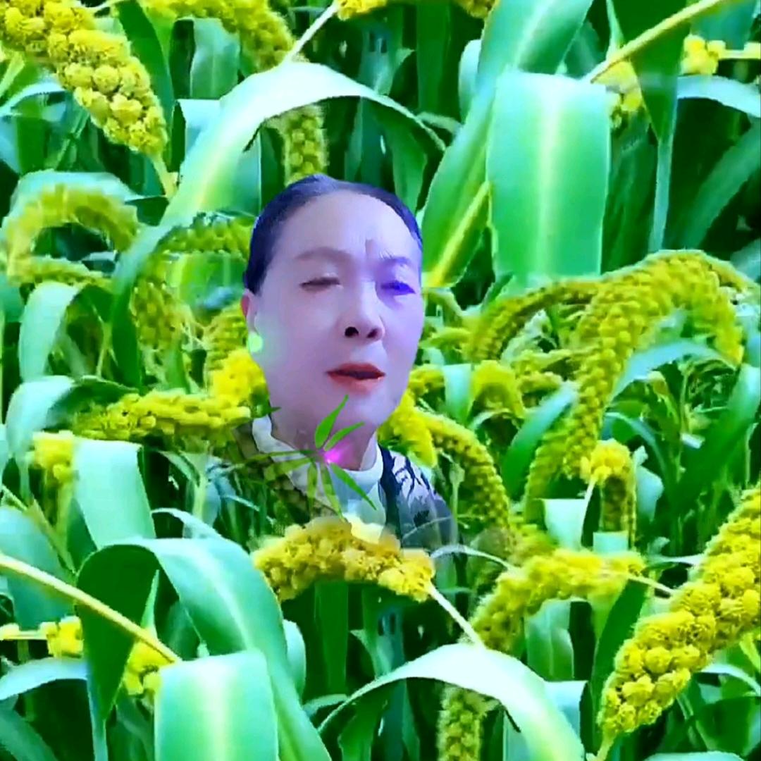 幸福，花朵