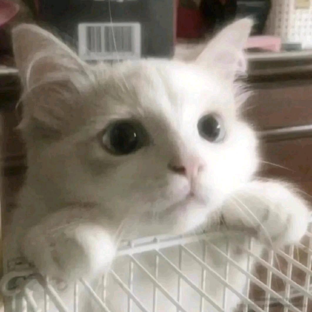 暴富暴美暴桃花好运常在身体健康