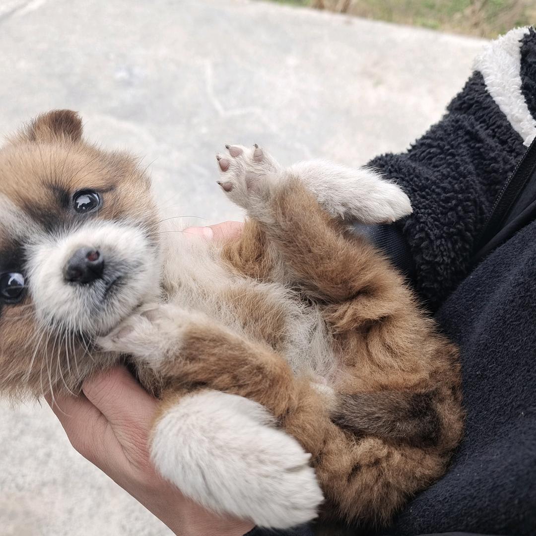 纯情少男♂