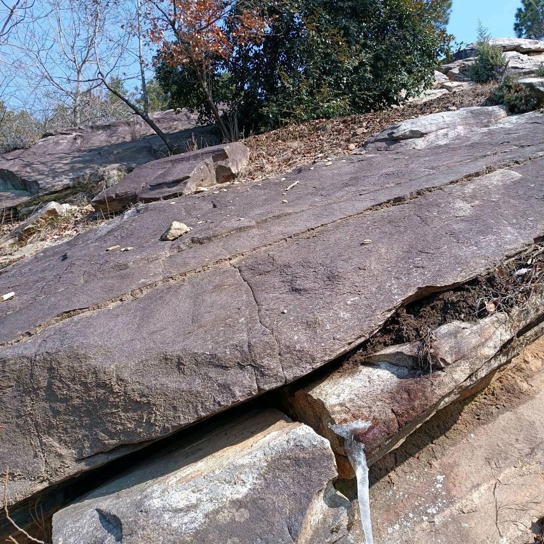 慎　　　　　　  　　　　  　　╲