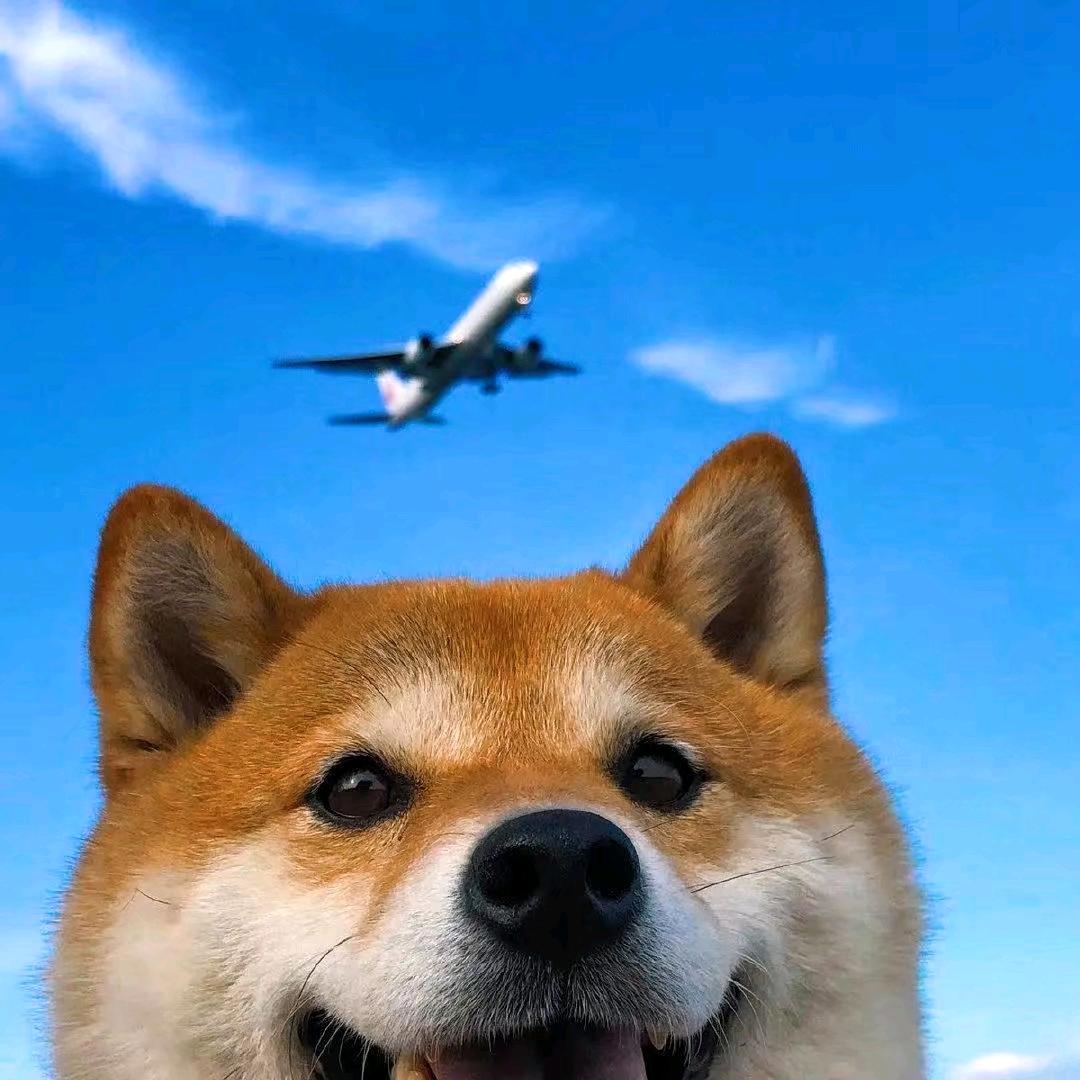 月色🌙(小游戏)