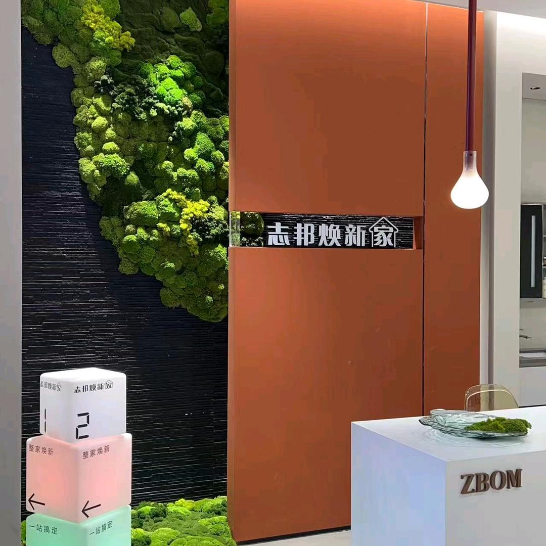 镇雄 顶艺&志邦全屋定制直营店