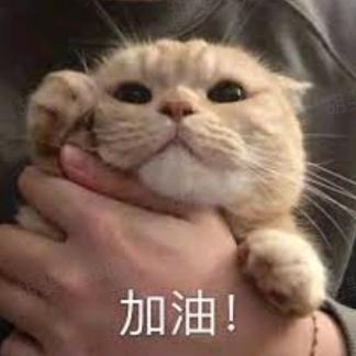 碧海涛森工艺品商行