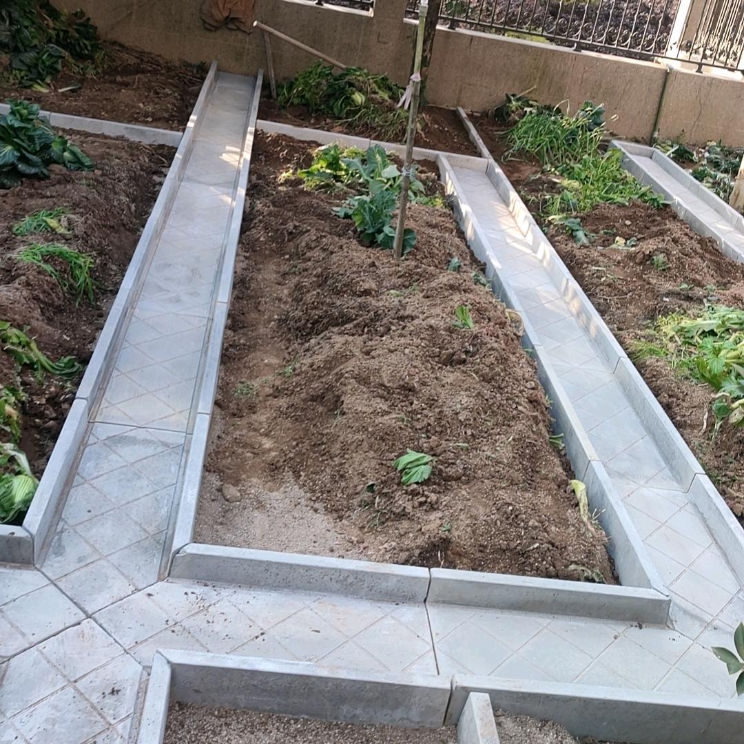 常山丽红菜沟板厂家