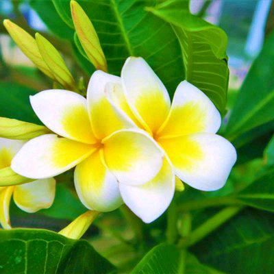 明天会美好⁹⁶⁶